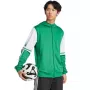 Pánska adidas Squadra 25 Hoody mikina zelená a biela JP3164 M