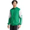 Pánska adidas Squadra 25 Hoody mikina zelená a biela JP3164 L