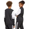 adidas Squadra 25 Sweat Crew detská mikina čierna JE2773 152cm