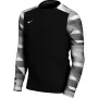 Nike Dry Park IV JSY LS GK Junior brankárske tričko čierna CJ6072 010 XS