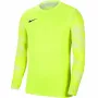 Nike Dry Park IV JSY LS GK Junior brankárska mikina limetková CJ6072 702 XS
