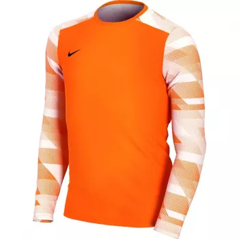 Nike Dry Park IV JSY LS GK Junior brankárska mikina oranžová CJ6072 819 S