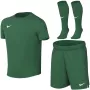 Športový set pre batoľatá Nike Dri-FIT Park VIII, zelený, HV8260 302, veľkosť S