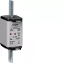 HAGER LNH2080MK NH poistková vložka 80A 500V gG veľkosť 2C s indikátorom