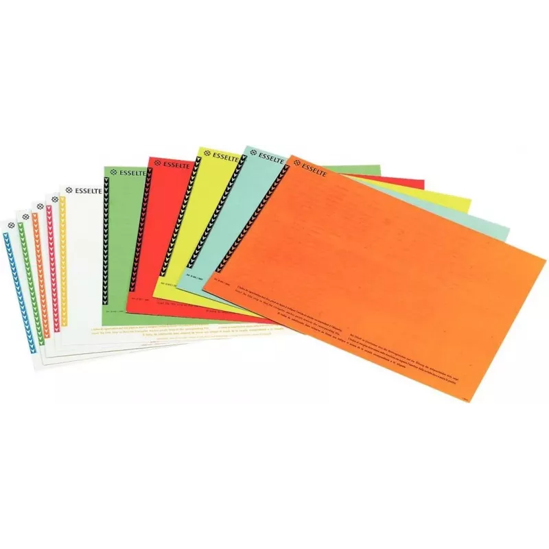 LEITZ Esselte etikety na závesné registre pre skrine, biele, 60 x 12 mm, 100 etikiet (326400)