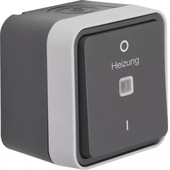 Hager WNC015 2-pólový kontrolný spínač na omietku s kontrolkou, sivý