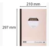 Le Dauphin Manifold Recettes-Dépenses, 297 x 210 mm, dupli (1502D) - 1 blok