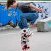 SCHILDKRÖT skateboard Grinder 31 inch Wolf Deck komplet skateboard 510682