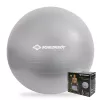 SCHILDKROT gymnastická lopta 65 cm strieborná Anti-Burst 960156