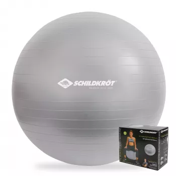 SCHILDKROT gymnastická lopta 65 cm strieborná Anti-Burst 960156