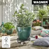 WAGNER design yourself Podstavec na rastliny GH0558 plast, Ø 38,5 cm tmavozelený okrúhly, 1 ks 20055801