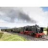 Märklin BR 24 parný rušeň 36244