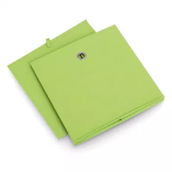 Zeller 14114 Úložný box z netkanej textílie, 30 L, 32 x 32 x 32 cm, zelený