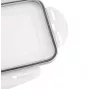 APS Box na ľadové kocky s viečkom, transparentný/sivý, sada 2 ks, polypropylén, vhodný do umývačky 36103