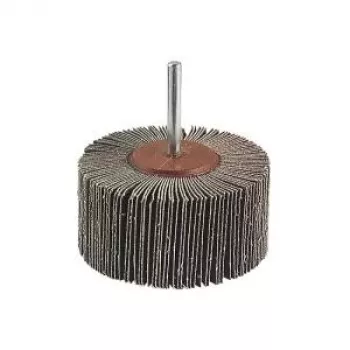 Wolfcraft 2037000 lamelový brúsny kotúč, priemer 20 mm
