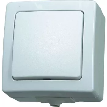 HEINRICH KOPP Paris Polárna biela Vypínač do omietky 10A 250V AC Prepínač/vypínač s možnosťou osvetlenia 565702005