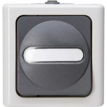 HEINRICH KOPP Univerzálny spínač BLUE ELECTRIC sivý na omietku do vlhkého prostredia 10A, 250V (560656006)