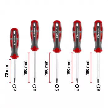Einhell Univerzálna sada skrutkovačov Torx T10-T30, 5-dielna, magnetické hroty, chróm-vanádiová oceľ, ergonomické rukoväte z dvoch materiálov, dielňa a domáce majstrovanie 370537