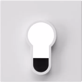 Gira kryt pre kľúčový spínač, System 55, čistobiela lesklá, 55 x 55 mm 866403