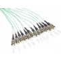 GoodConnections Alcasa LW-802PT 2 m 12x ST tyrkysový LWL patch kábel (LW-802PT)