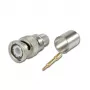 Telegärtner BNC krimpovací konektor samec pre RG214/U & RG393/U, 50 Ohm, 1 ks J01000A0060
