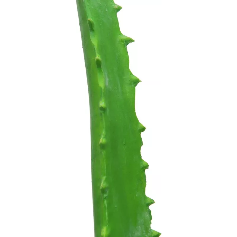 EUROPALMS umelá rastlina Aloe Vera v čiernom kvetináči, 63cm 82809112
