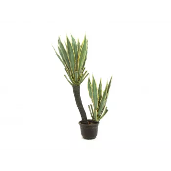 EUROPALMS orchidea kaktus umelá rastlina, 160cm 82809035