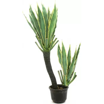 EUROPALMS orchidea kaktus umelá rastlina, 160cm 82809035