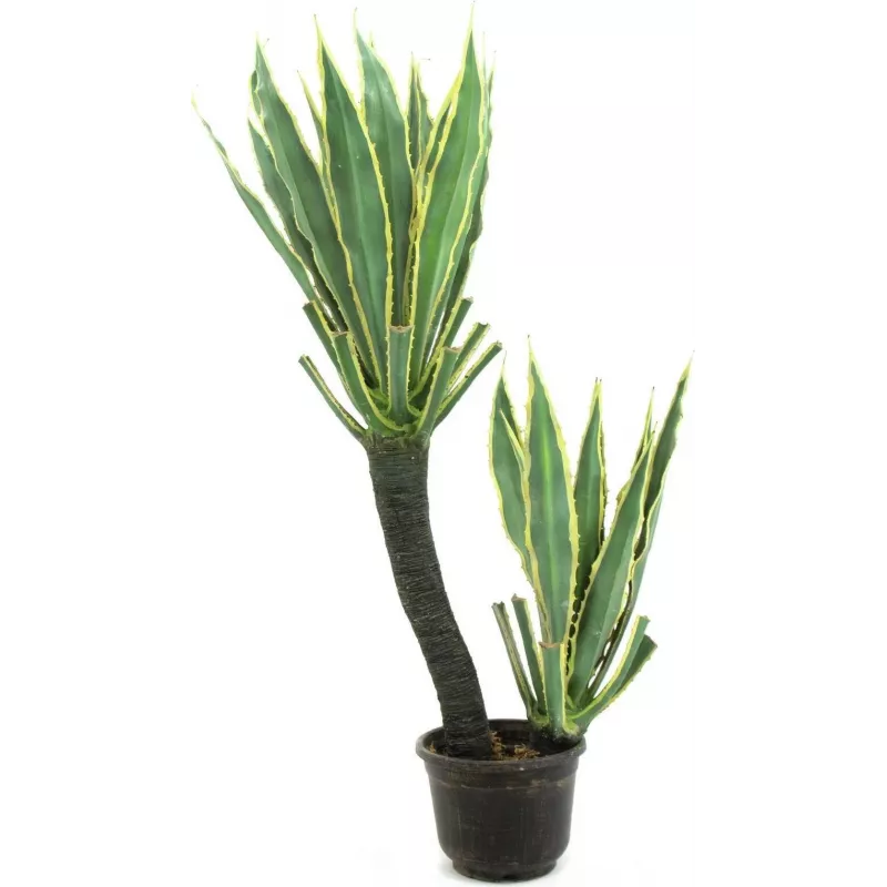 EUROPALMS orchidea kaktus umelá rastlina, 160cm 82809035