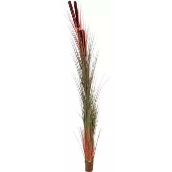 EUROPALMS umelá trstina s klasmi, svetlohnedá, 152 cm 82505856