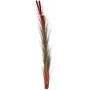 EUROPALMS umelá trstina s klasmi, svetlohnedá, 152 cm 82505856