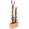 EUROPALMS umelá trstina s klasmi, svetlohnedá, 152 cm 82505856