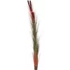 EUROPALMS umelá trstina s klasmi, svetlohnedá, 152 cm 82505856