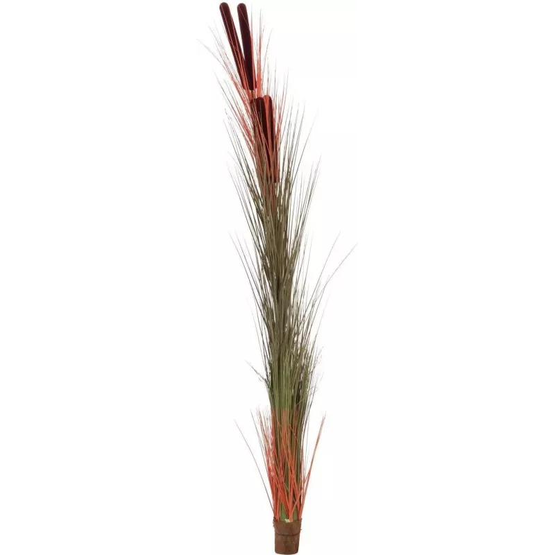 EUROPALMS umelá trstina s klasmi, svetlohnedá, 152 cm 82505856