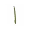EUROPALMS umelá trstina s klasmi, svetlozelená, 152 cm 82505855