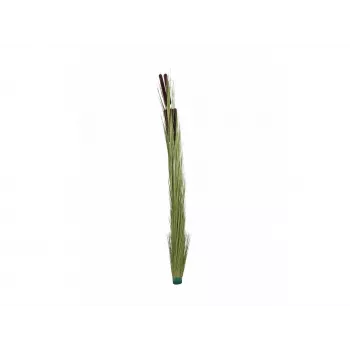 EUROPALMS umelá trstina s klasmi, svetlozelená, 152 cm 82505855