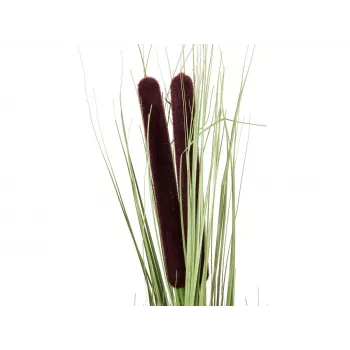 EUROPALMS umelá trstina s klasmi, svetlozelená, 152 cm 82505855