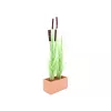 EUROPALMS umelá trstina s klasmi, svetlozelená, 152 cm 82505855