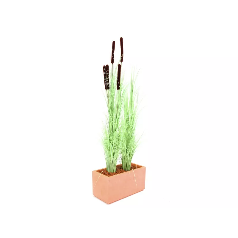 EUROPALMS umelá trstina s klasmi, svetlozelená, 152 cm 82505855