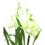 EUROPALMS aronstab, sada 3 ks s LED, biela, 85 cm (83330302)