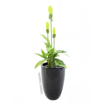 Europalms LEICHTSIN CUP-69 kvetináč, čierny, lesklý (83011819)