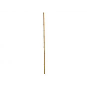 EUROPALMS bambusová tyč, Ø 3 cm, dĺžka 200 cm 83313200