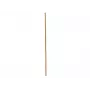 EUROPALMS bambusová tyč, Ø 3 cm, dĺžka 200 cm 83313200