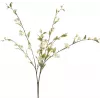 EUROPALMS umelá vetva čerešňového kvetu, biela, 60cm 82530565