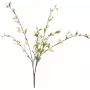 EUROPALMS umelá vetva čerešňového kvetu, biela, 60cm 82530565