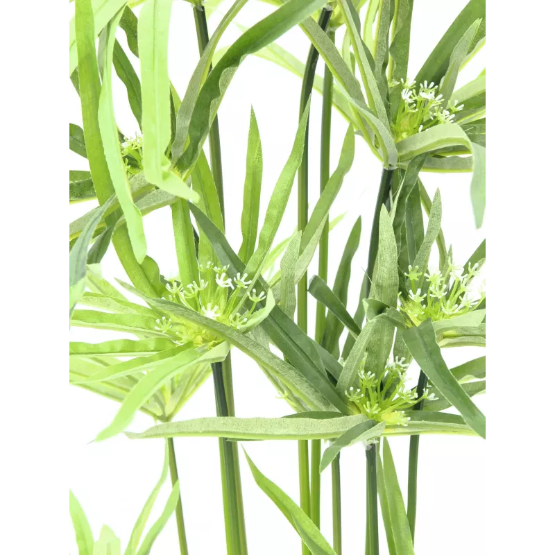 EUROPALMS umelá šachorina, 76cm, v čiernom kvetináči 82600138