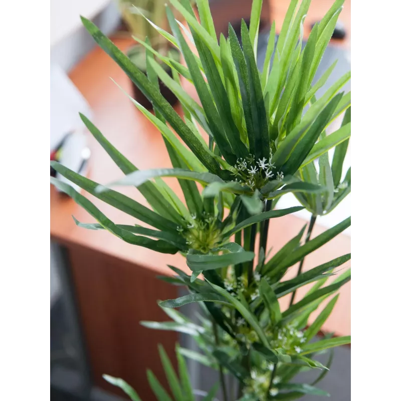 EUROPALMS umelá šachorina, 76cm, v čiernom kvetináči 82600138