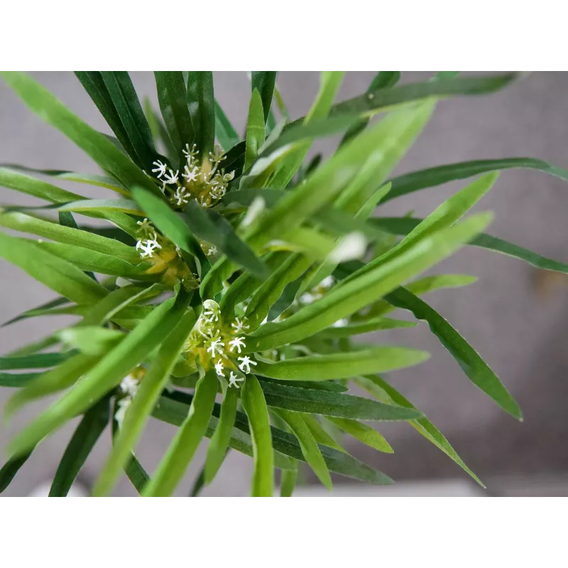 EUROPALMS umelá šachorina, 76cm, v čiernom kvetináči 82600138
