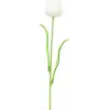 EUROPALMS Crystal Tulip umelý kvet, biela, 61cm, balenie 12 ks (82600204)