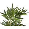 EUROPALMS umelý bambus v dekoračnej miske, 150cm 82509262